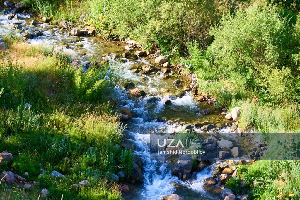 O‘simlik dunyosiga boy “Hisor” davlat qo‘riqxonasi