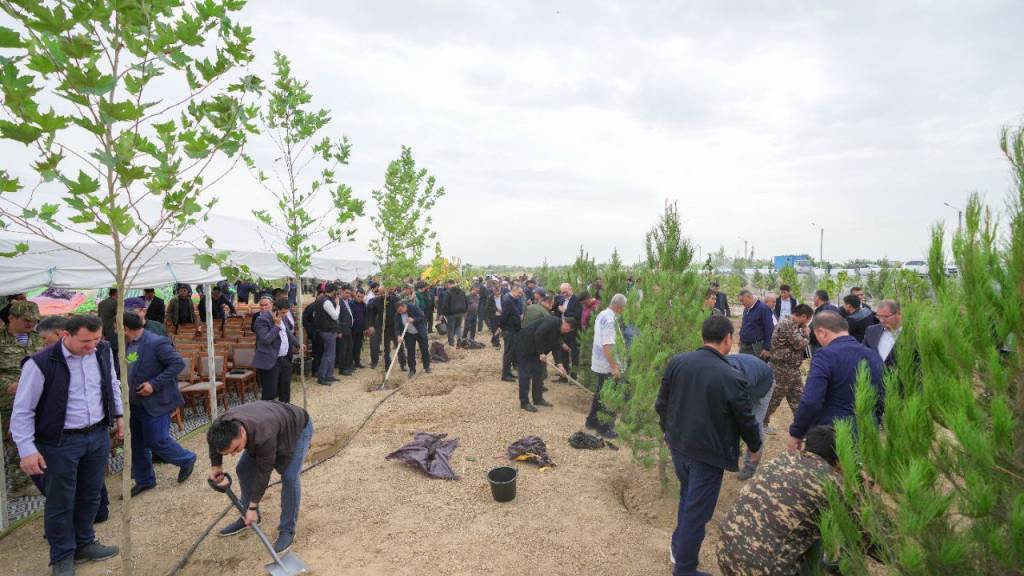 Janubda “Yashil makon” loyihasining kuzgi mavsumi boshlandi