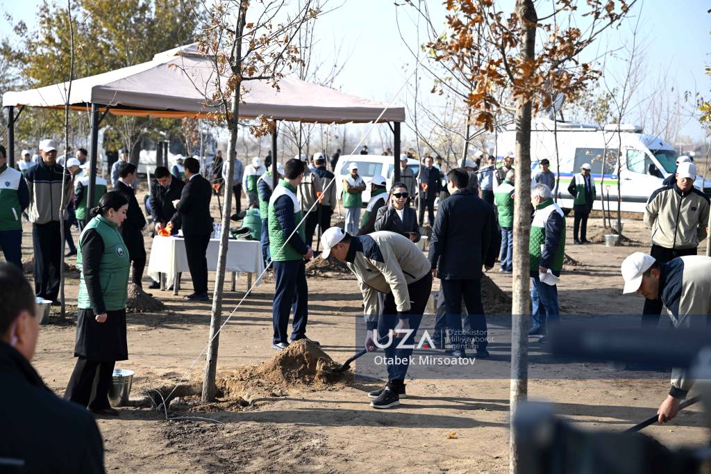 Erkak anus porno rasmlar