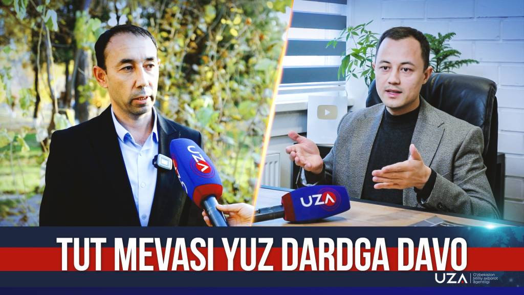 Tut mevasi yuz dardga davo (+video)