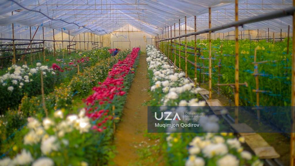 Gulchilik – barqaror daromad manbai