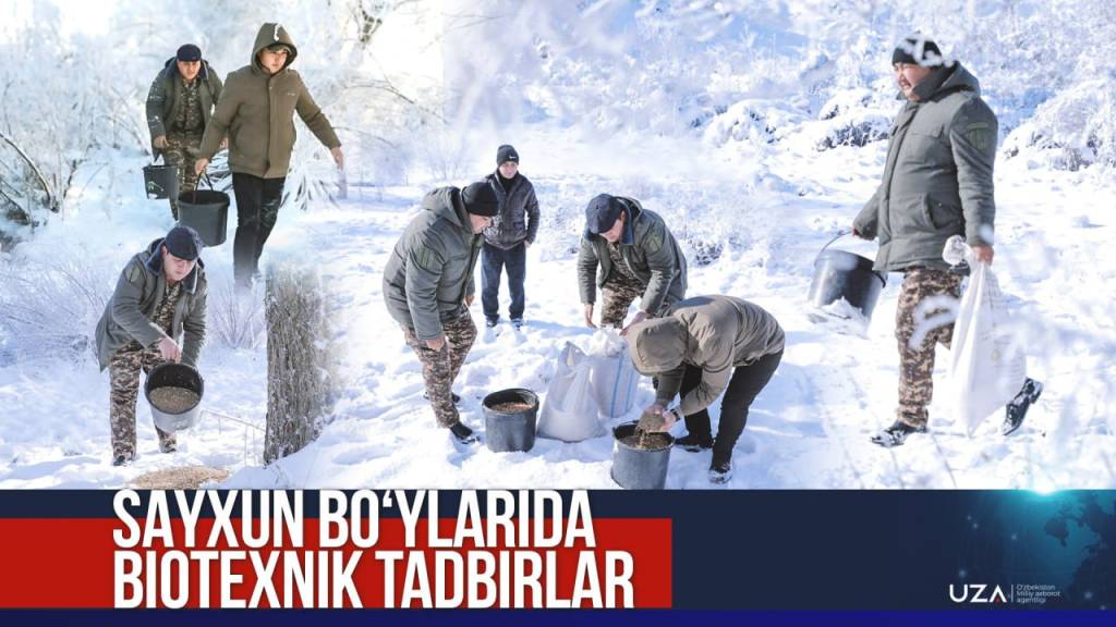 Sayxun bo‘ylarida biotexnik tadbirlar (+video)