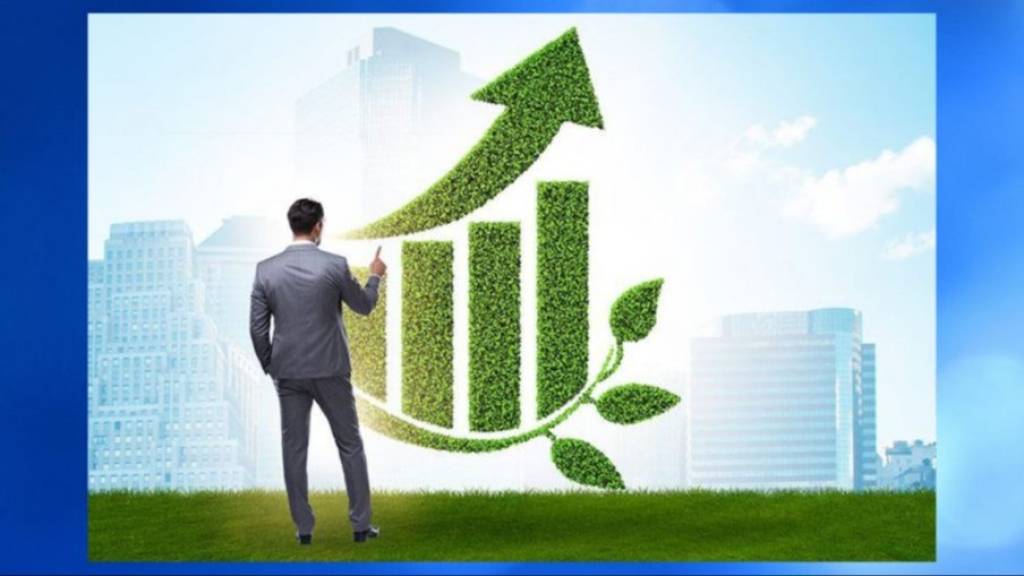 O‘zbekistonda “yashil tadbirkor” platformasi ishga tushiriladi