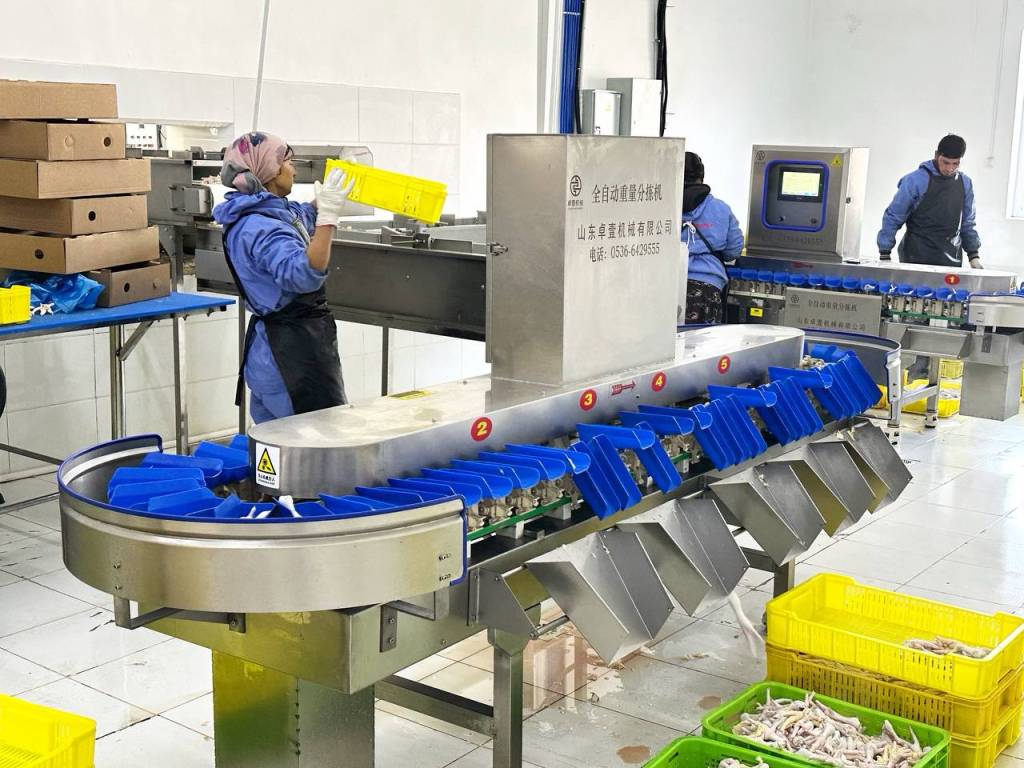 资本是新项目的基础