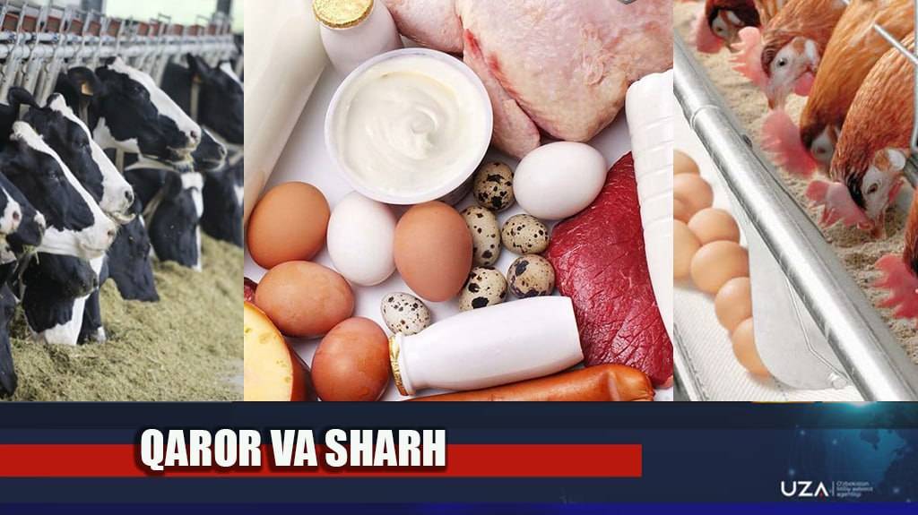 Chorvachilik va parrandachilikni qo‘llab-quvvatlash borasidagi islohotlar yangi bosqichda