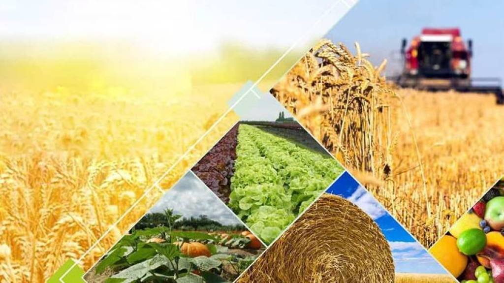 Фермерларга кластерларни танлаб, ихтиёрий шартнома тузиш имкони берилди