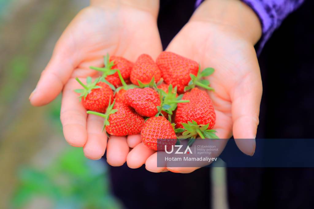 Zaporijjia veb-jinsiy aloqa