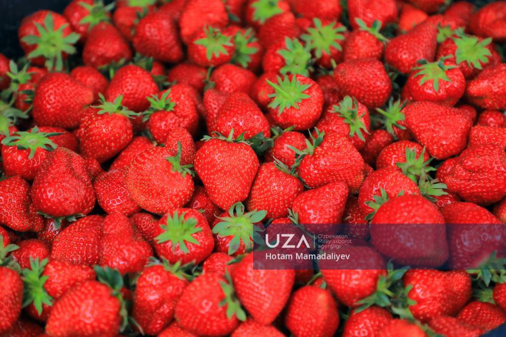 Gayratli Mia kutubxonada oynaydi va uning klitorini onanizm qiladi Mashhurlarning jozibasi fotosuratlari