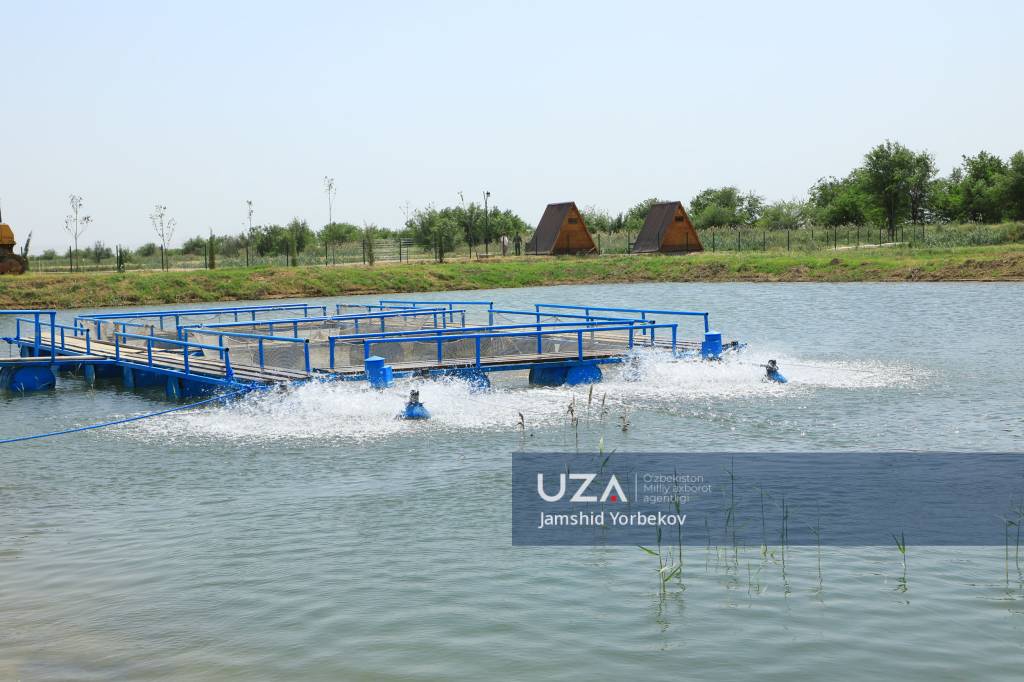 Brunettalar katta dumbalari bilan onanizm