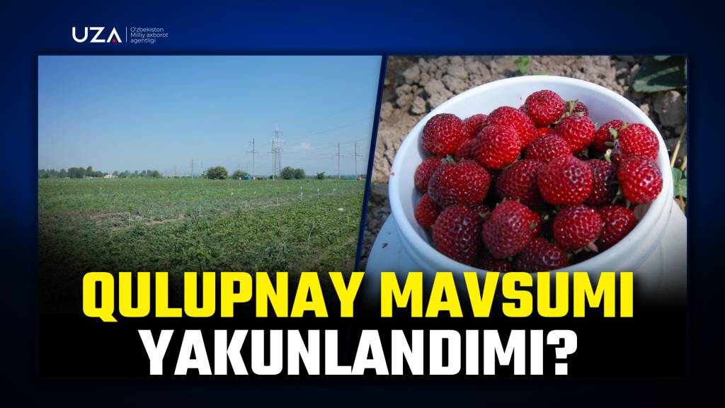 Bekeyevaning porno video Buryat porno jinsiy aloqa