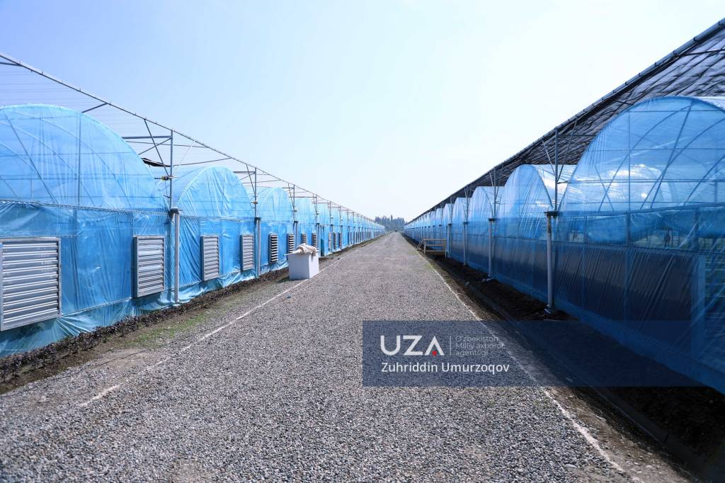 Guruh jinsiy aloqada sochli xitoylik ayollar