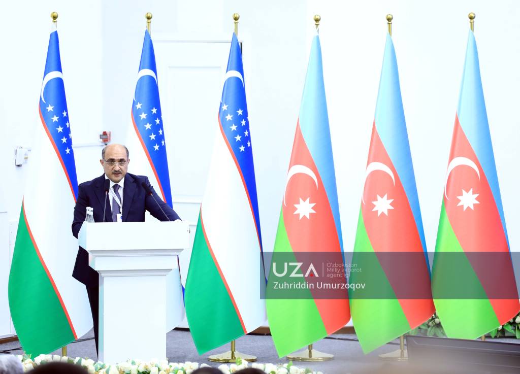 Jinsiy aloqa, jinsiy olatni va qin haqida hamma narsa