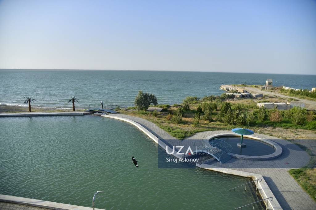 Eshli Fayr Tukli mushuklar bilan tola onalar fotosuratlari