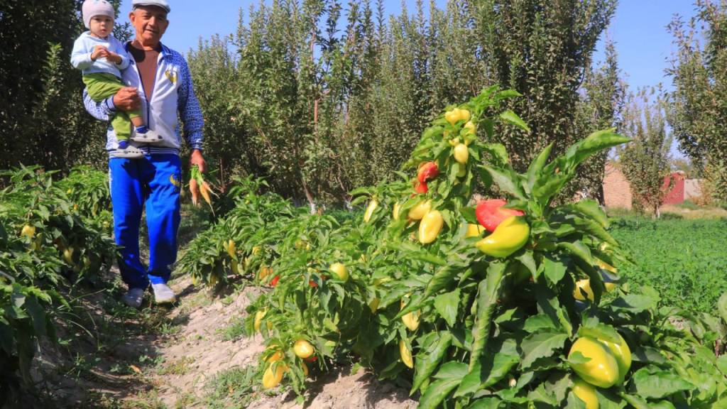 Rosamund Kvan porno rasmlar