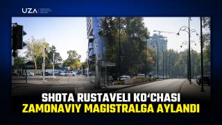 Шота Руставели кўчасидаги янгилик. Аҳоли орасидаги сўровнома (+видео)