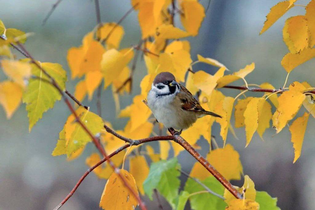 Chuqur anal tubsizlik jinsiy aloqa watch online