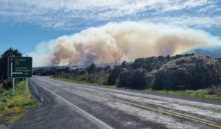 “Узуклар ҳукмдори” суратга олинган боғда ёнғин