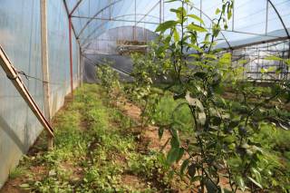 Меҳнат билан  фаровон ҳаёт сари