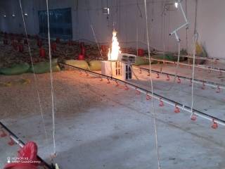 Истеъмолчи жавобгарликка тортилди