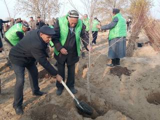 Кузги кўчат экиш мавсуми Сирдарёда расман старт олди