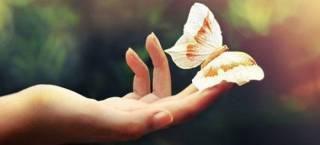 Гўзал муҳит гўзал жамиятни шакллантиради