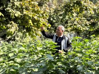 Истиқболли микролойиҳалар аҳоли бандлигини таъминламоқда (+видео)