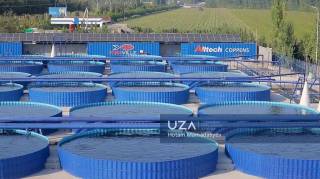 Норинда балиқчилик ривожланмоқда