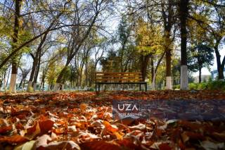 13 ноябрь куни кутилаётган об-ҳаво маълумоти