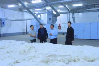 Хорижий инвестиция иштирокидаги корхоналар сони кўпаймоқда