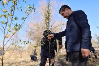 “Яшил макон” — келажак учун экилган умид ниҳоллари