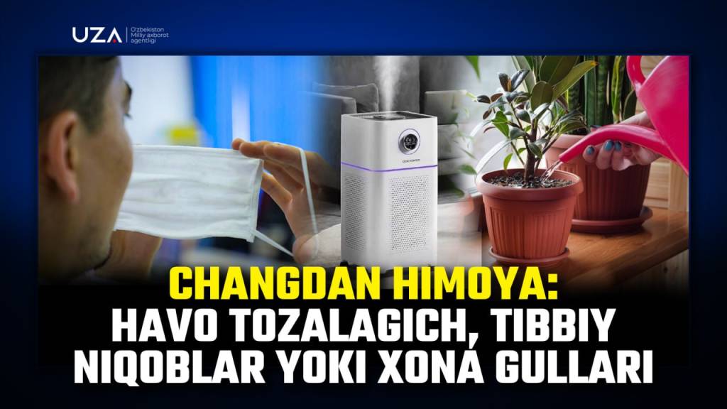 Changdan himoya: havo tozalagich, tibbiy niqoblar yoki xona gullari (+video)