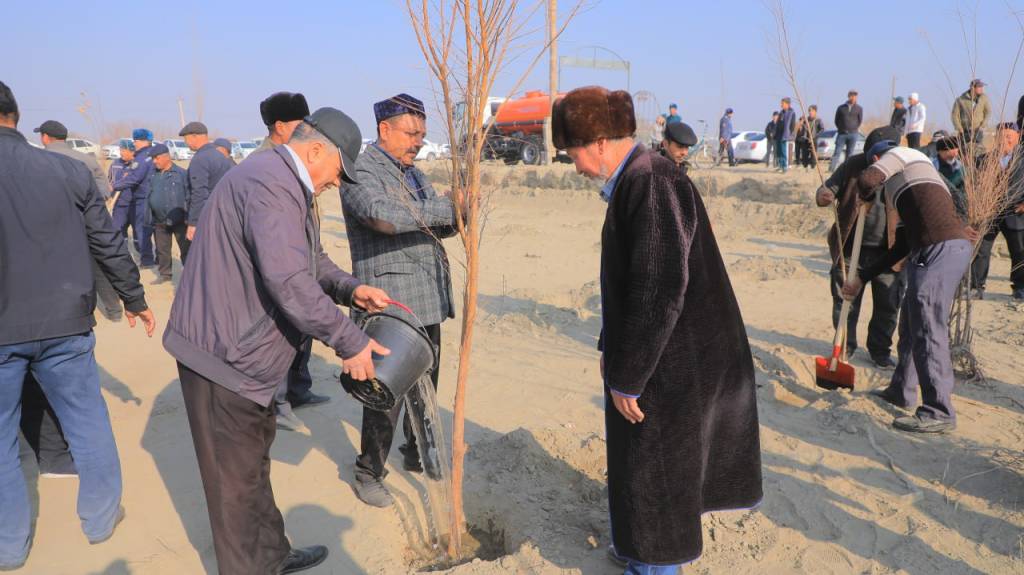 “Яшил макон”: маҳалла боғи ташкил этилди