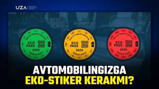 Сариқ ва қизил стикерли автотранспорт воситалари шаҳарнинг қайси ҳудудларида ҳаракатланиши мумкин?  (+Видео)