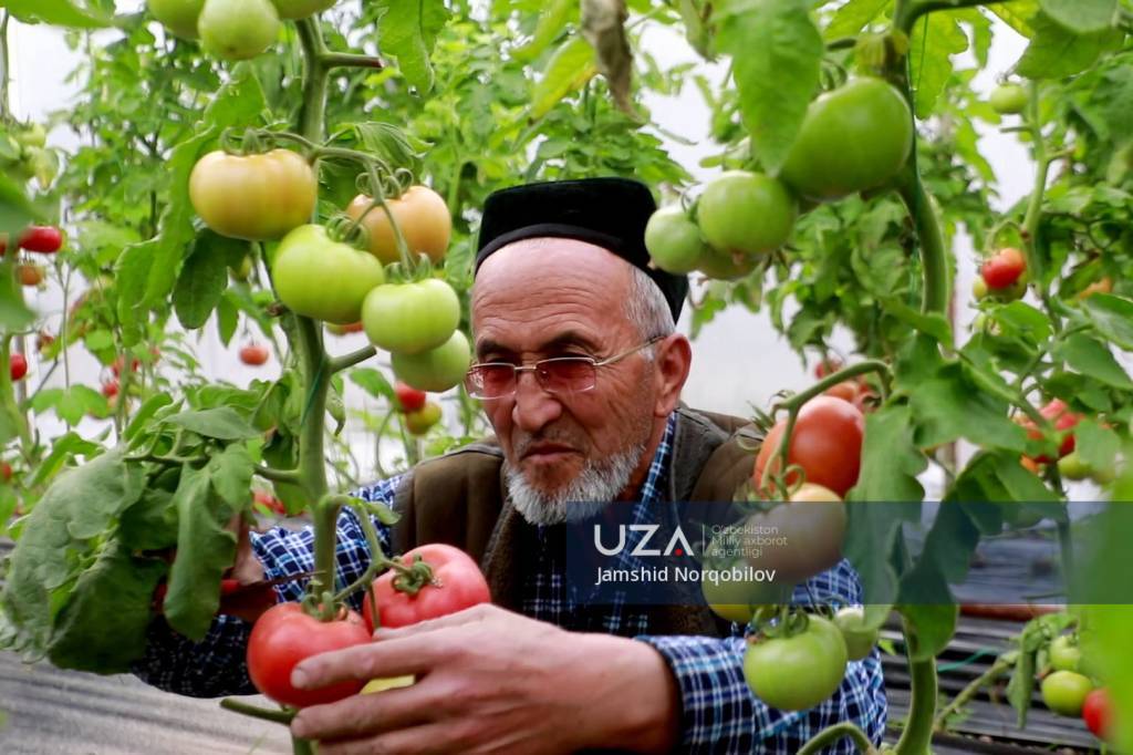 Mehnat qilgan elda aziz