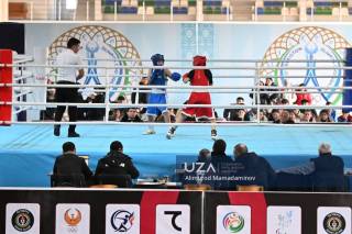 Боксчи қизлар бугун чорак финал жангларини ўтказади