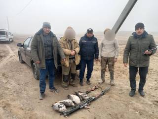 Сурхондарёда ёввойи ғозни отиб ўлдирган “овчилар” жазоланди