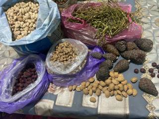 “Биз бир гумбаз остидамиз” акцияси доирасида янги экологик ташаббус