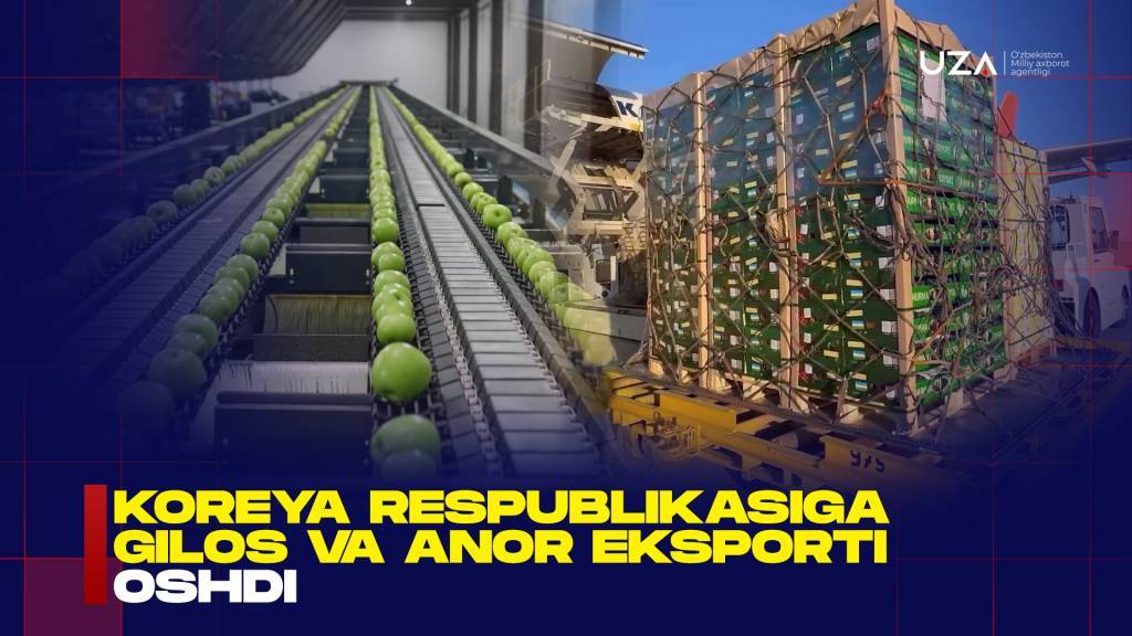 Export von Granatäpfeln nach Korea steigt