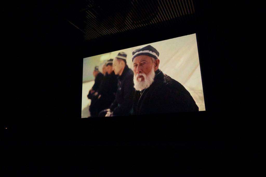 Впечатления о   “Фонус”