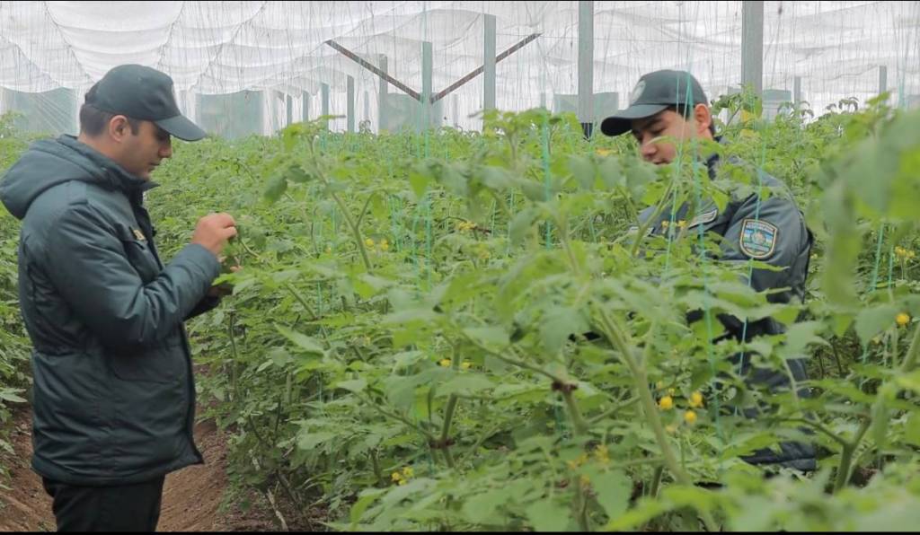 Тошкентда “Долзарб 30 кунлик” назорат тадбирлари олиб борилмоқда