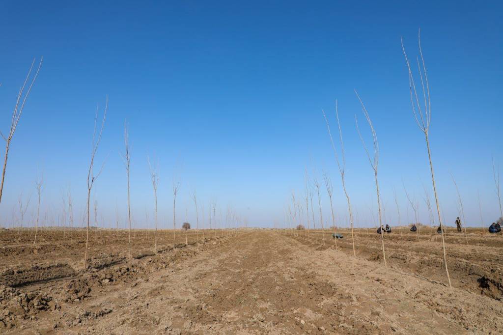 От бедности к процветанию