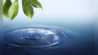 Сувнинг ҳар бир томчисини ҳисобга олиш - самарали ислоҳот асоси