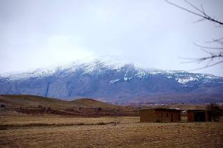 Жанубда баҳор Бойсундан бошланмоқда