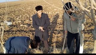 “Биз бир гумбаз остидамиз” акцияси давом этмоқда