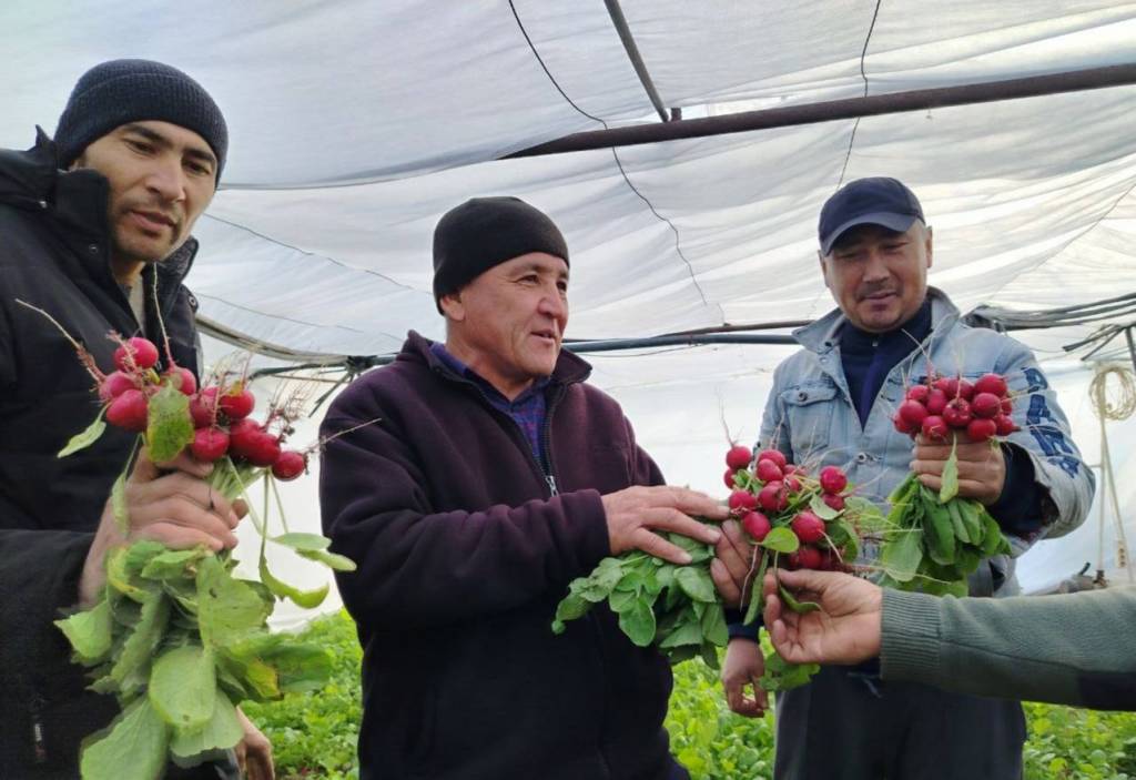 Yer ochiq auksionlar orqali ijaraga berildi