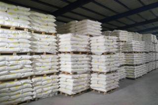 Шакар ишлаб чиқариш лойиҳаси режалаштирилмоқда