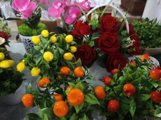 Ижтимоий кўмак янги имкониятларга йўл очмоқда