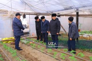 Ёрқишлоқда томорқачилик ривожланмоқда