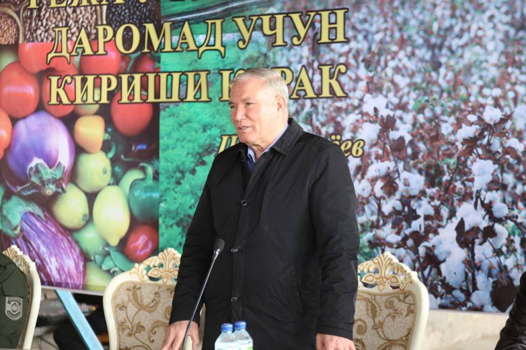 Самарадорлик сари янги қадам