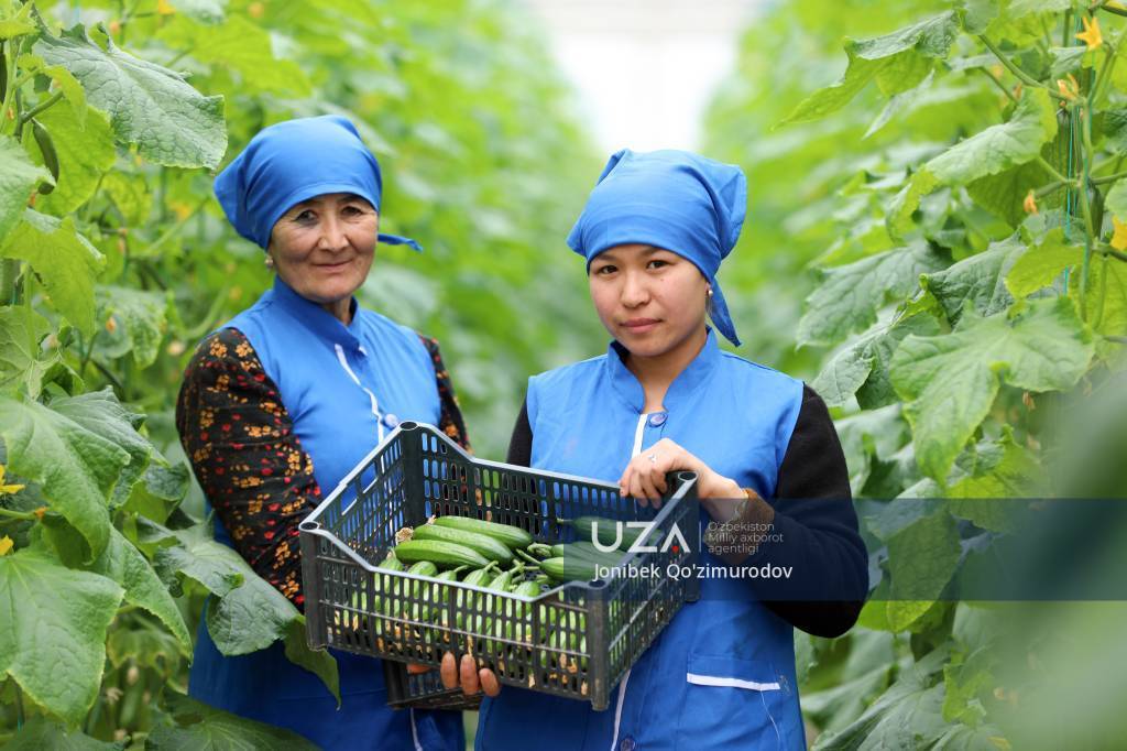 Урожай круглый год